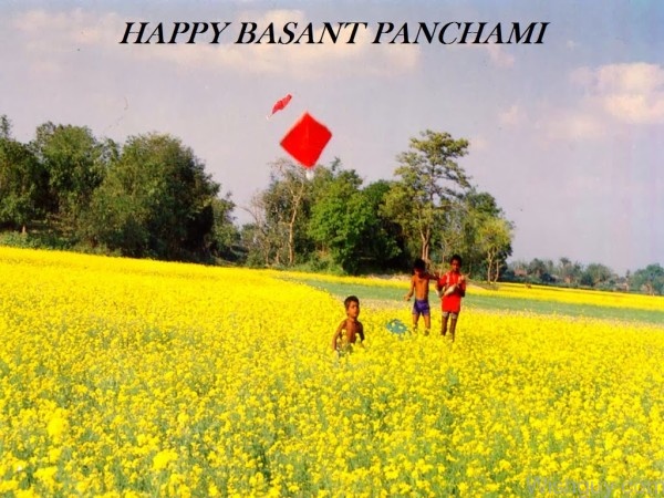 Kite Flying In Happy Basant Panahami-wl623
