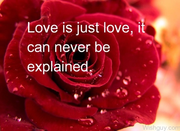 Love Is Just It Can Never Be Explained-cm135