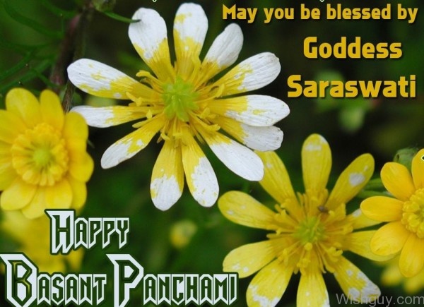 May You Blessed By Goddess Saraswati-wl625
