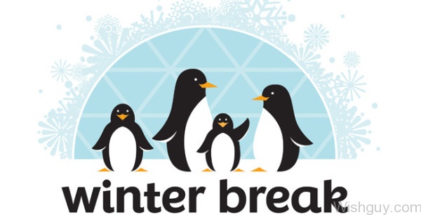Penguins Winter Break-vx116