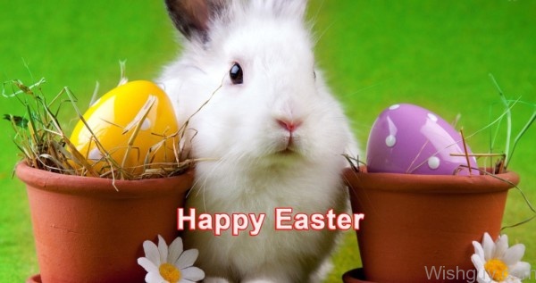 Rabit Says - Happy Easter-es153