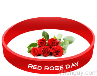 Red Rose Day-cm143