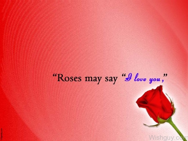 Roses May Say I Love You-cm146