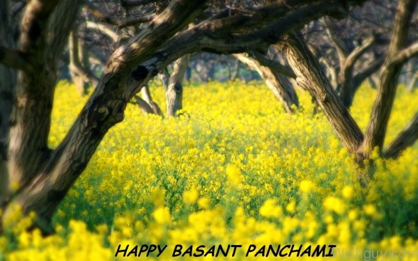 Sending Yellow Flowers On Basant Panchami-wl627
