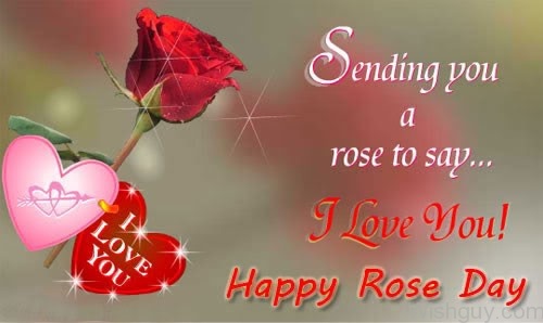 Sending You A Rose To Say I Love You-cm148