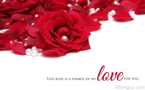 This Rose Is A Symbol Of My Love For You-cm150