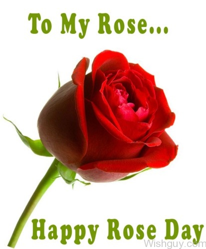 To My Rose Happy Rose Day-cm151