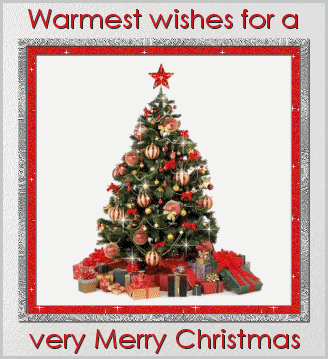 Warmest Wishes For Mery Christmas-wm125