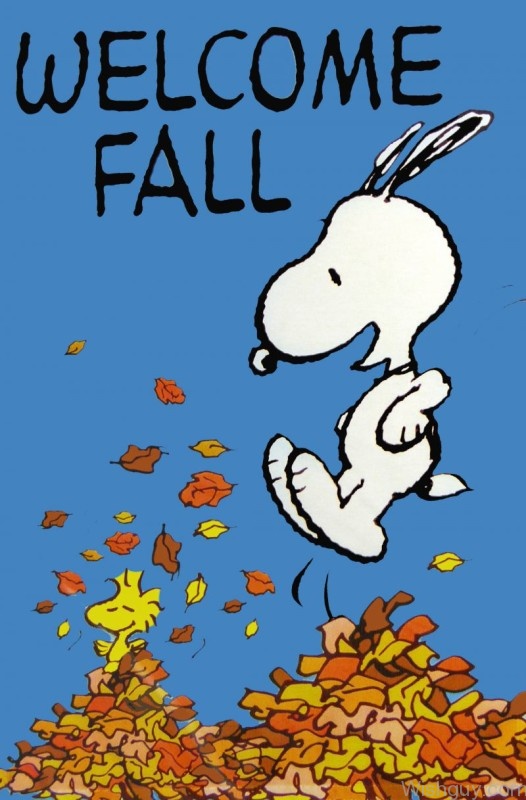 Welcome Fall In Excitement-ac147