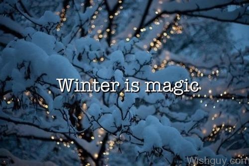 Winter Is Magic-vx134