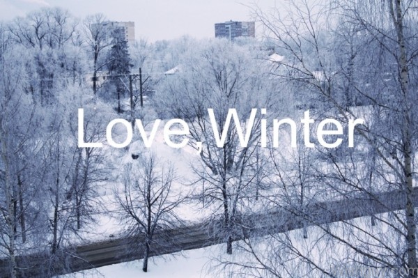 Winter Love-vx137