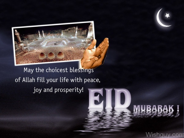 Wish You Joy And Prosperity Eid Mubarak-wg233