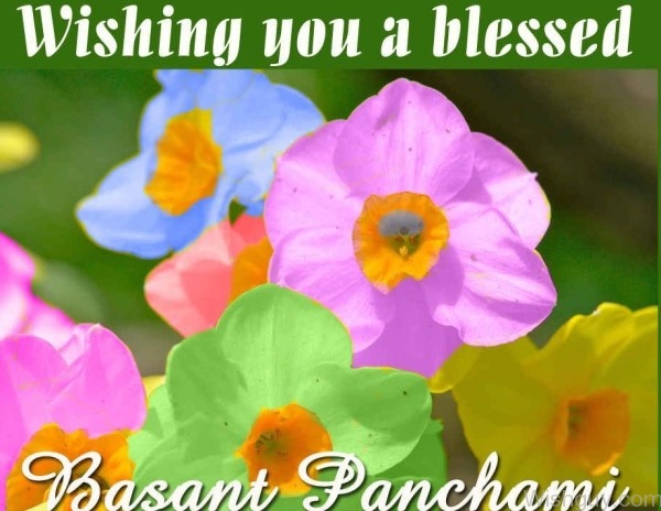 Wishing You A Blessed Basant Panchami-wl631