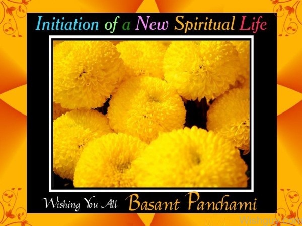 Wishing You All A Peaceful Basant Panchami-wl633