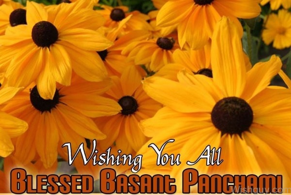Wishing You All Blessed Basant Panchami-wl634
