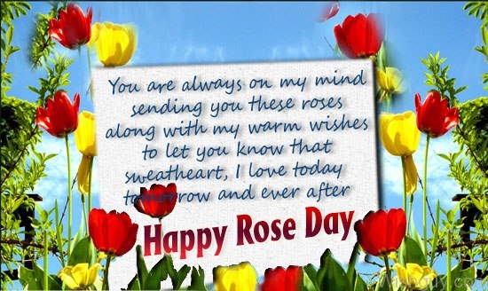 You Are Always On My Mind Happy Rose Day-cm154