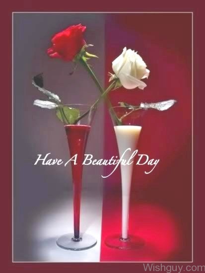 Have A Beautiful Day 1-wk311