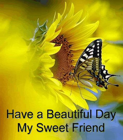 Have A Beautiful Day My Sweet Friend-wk314