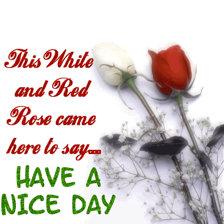Have A Nice Day-wk339