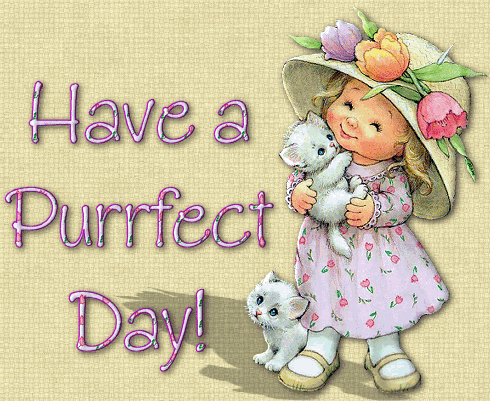 Have A Perfect Day-wk341