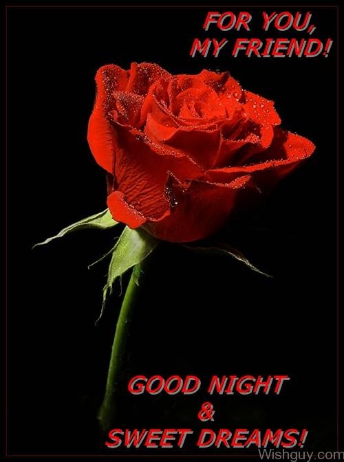 For You My friend - Good Night ! -B1