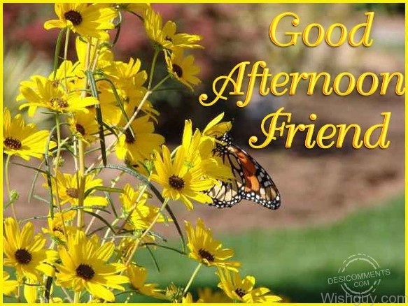 Good Afternoon Wishes For Friends - Wishes, Greetings, Pictures – Wish Guy