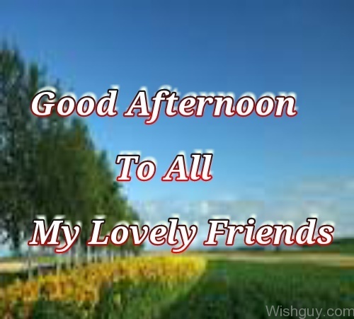 Good Afternoon To All My Lovely Friends -M11