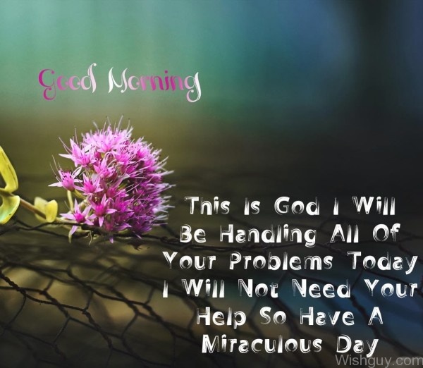 Good Morning - Have A Miraculous Day -A7