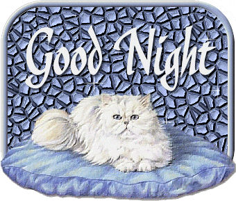 Good Night - Animated Image -B13