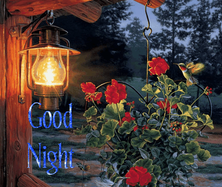 Good Night – Animated Pic -B1 - Wishes, Greetings, Pictures – Wish Guy