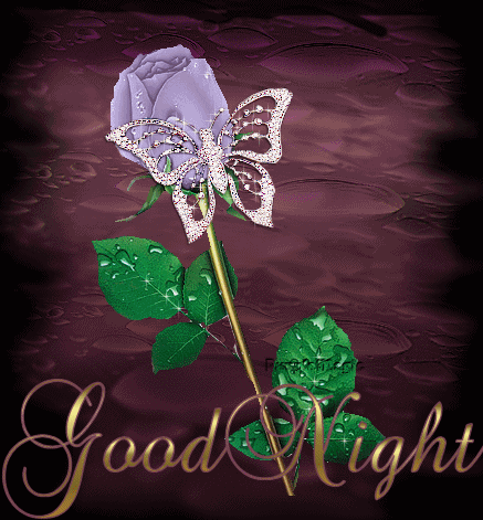 Good Night Dear ! -B1