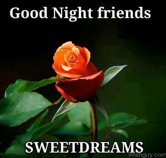 Good Night Friends Sweet Dreams ! -B1