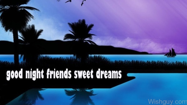 Good Night Friends Sweet Dreams -B1
