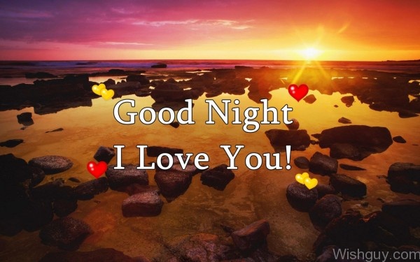 Good Night I Love You -C1