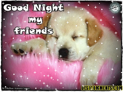 Good Night My Sweet Friends -B1