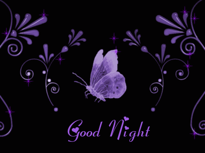 Good Night -Purple Butterfly Pic -B1
