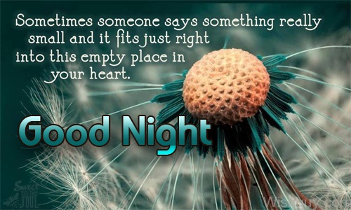 Good Night Quote For Friend -B1