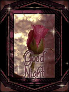 Good Night -Rose Image -B1