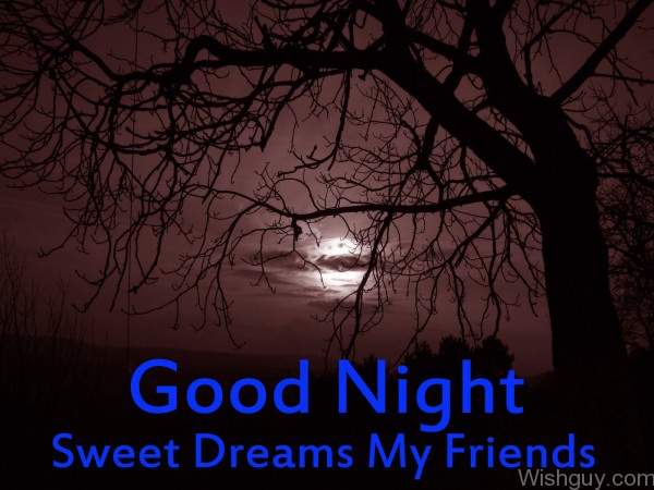 Good Night Sweet Dreams My Friends -B1