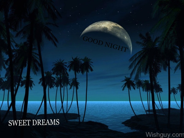 Good Night Sweet Dreams To You -B1