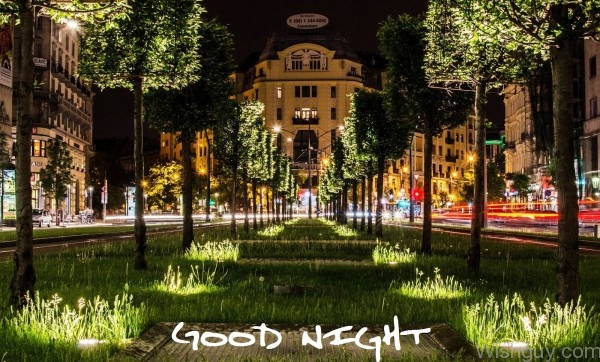 Good Night Wish -B1