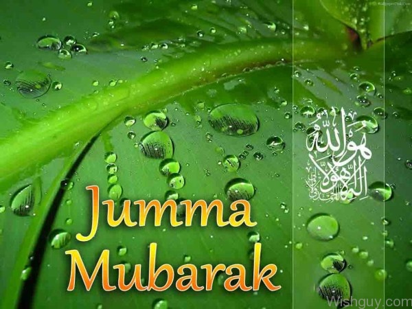 Happy Jumma Mubarak -m7