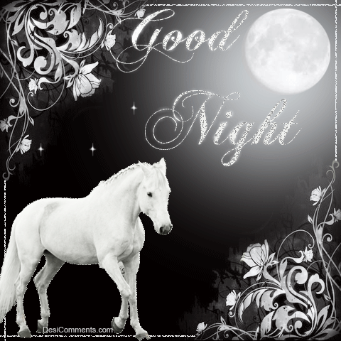 Have A Beautiful Good Night -B1