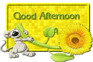 Have A Great Afternoon -M22