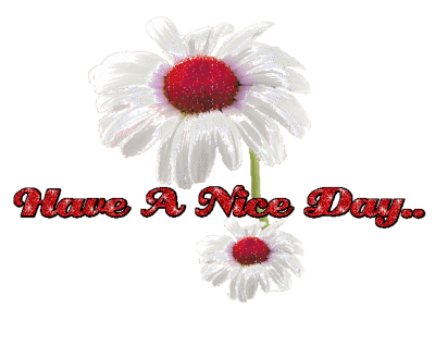 Have A Nice Day -M22