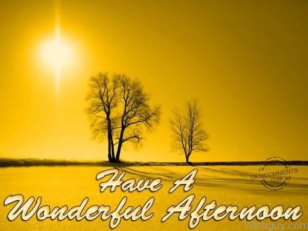 Have A Wonderful Good Afternoon -M22