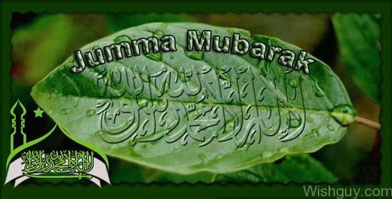 Jumma Mubarak-Leaf  Photo -m7