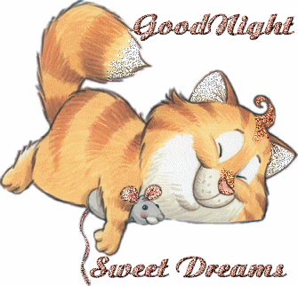 Lovely Good Night Wish -B1