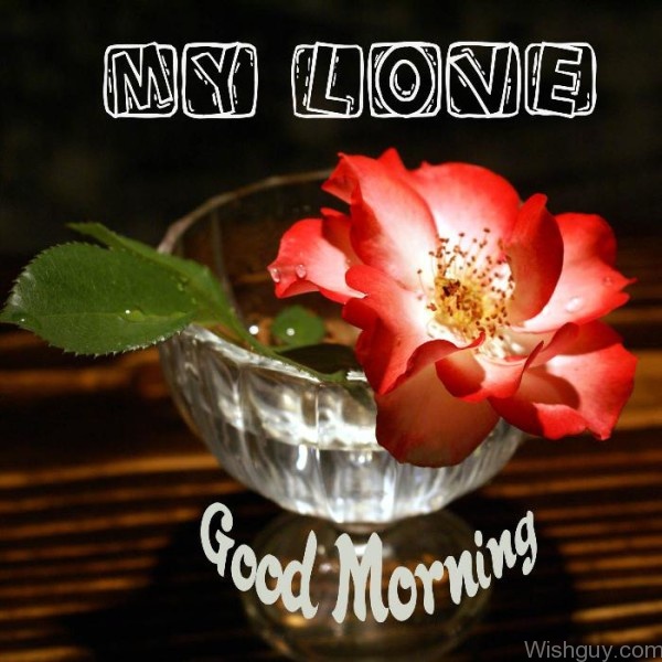 My Love Good Morning -A6