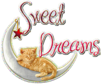 Sweet Dreams -B1